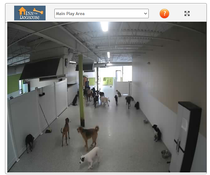 Inn The Doghouse Mentor Doggy Cam